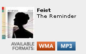 New mp3 download option for the Feist album