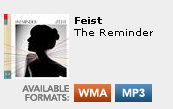 New mp3 download option for the Feist album