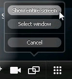 Skype screen share button